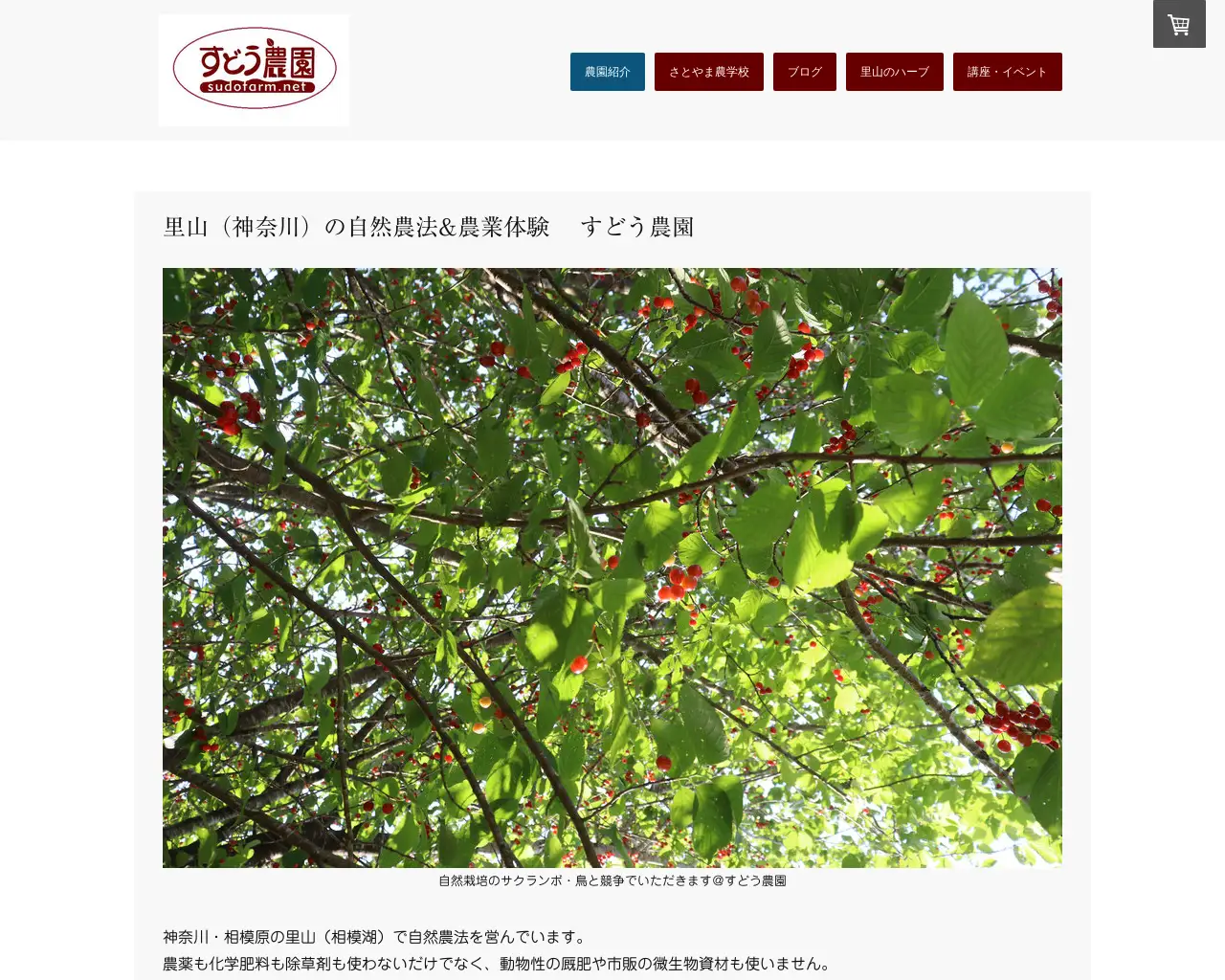 すどう農園 農産加工所 site