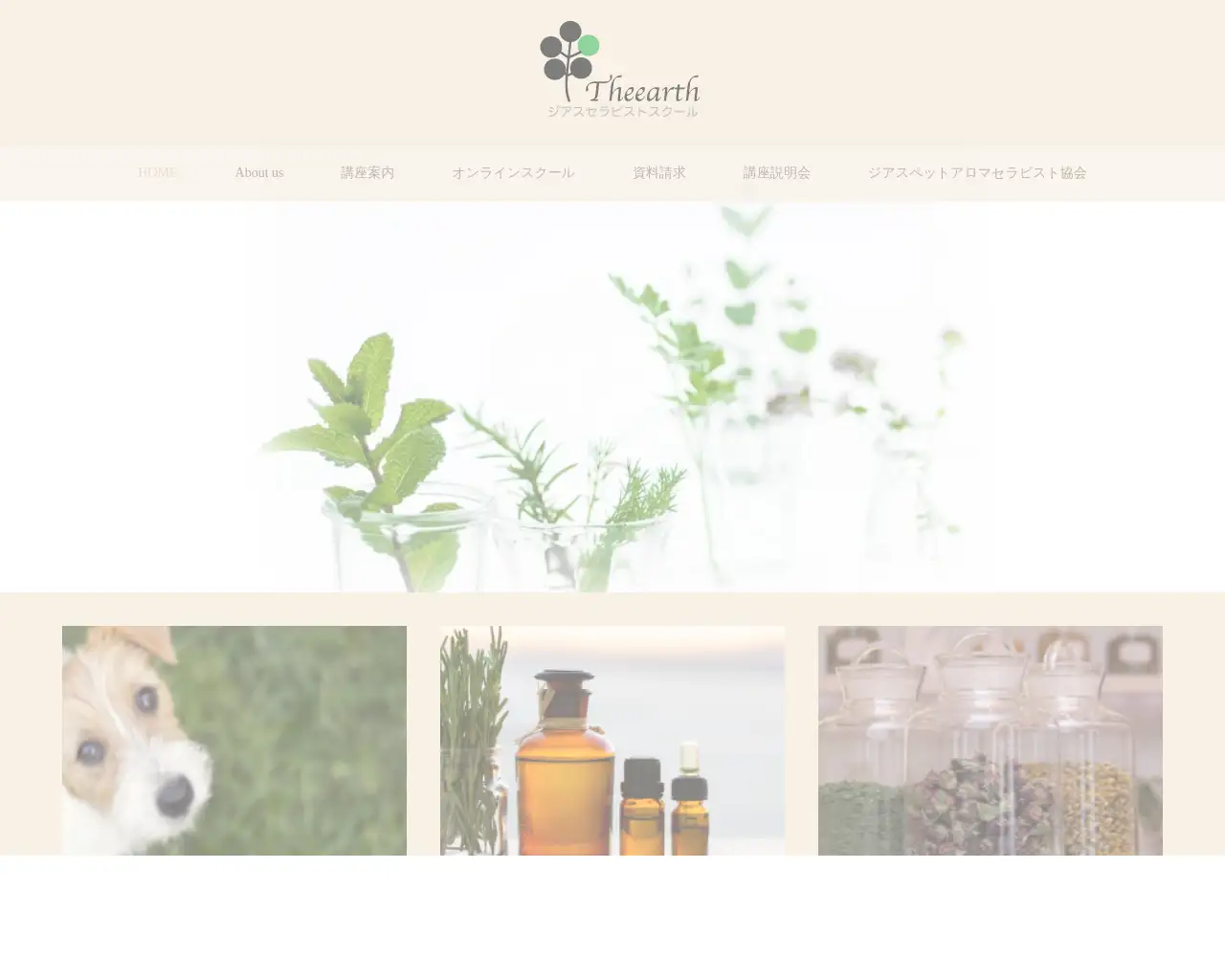 ジアスセラピストスクール site