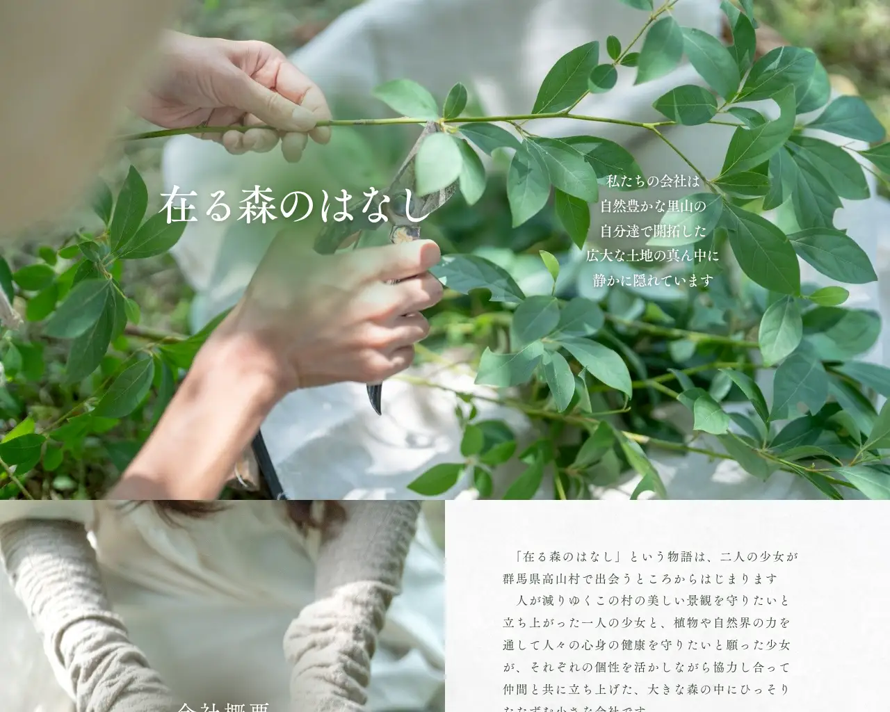 株式会社在る森のはなし site