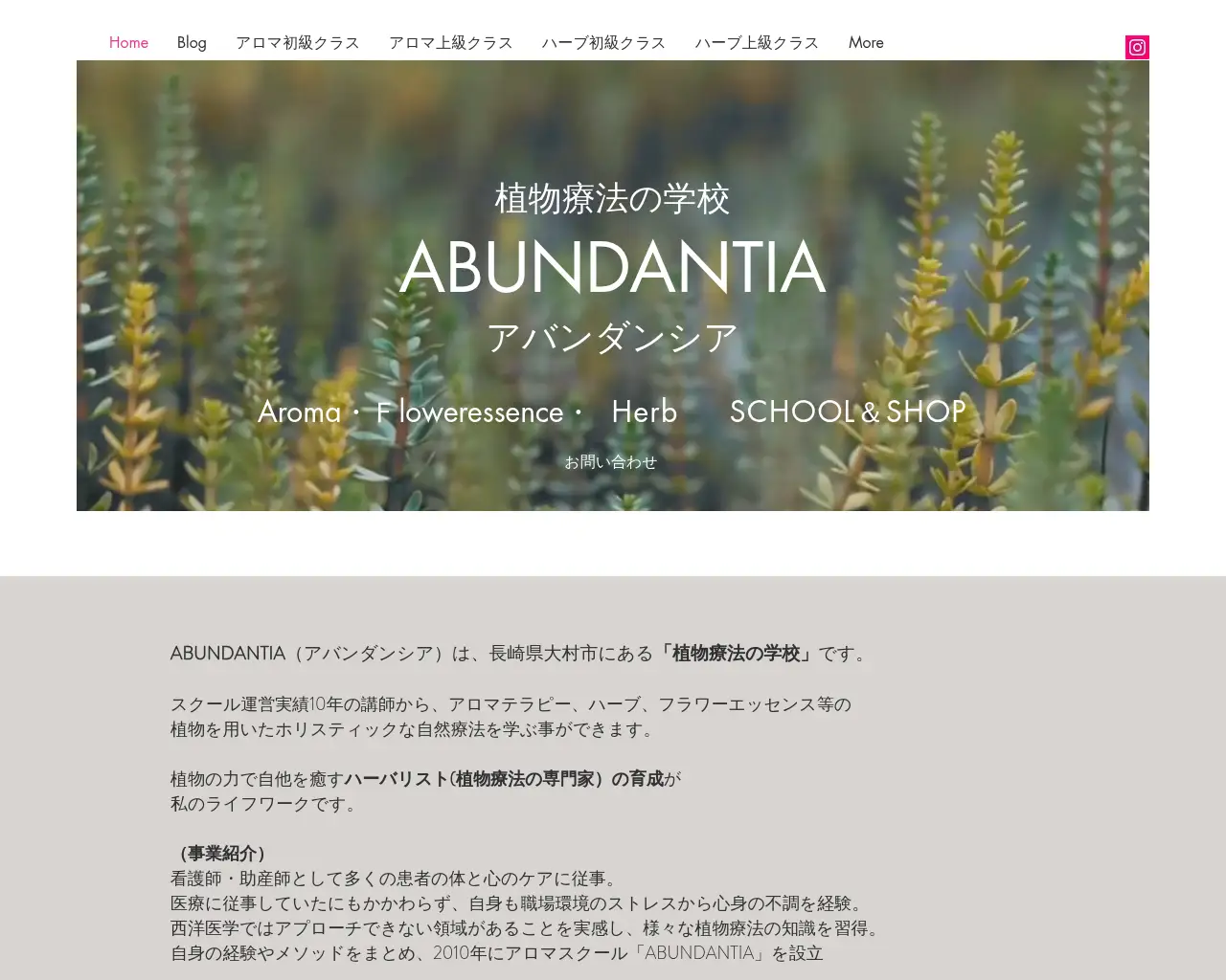 植物療法（アロマ＆ハーブ＆フラワーエッセンス）スクール アバンダンシア（長崎大村校） site