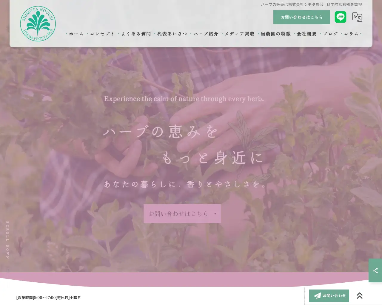 シモタファーム site