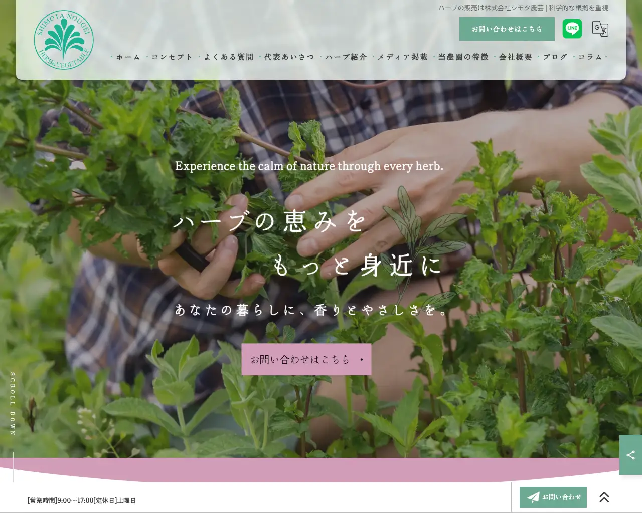 シモタファーム site