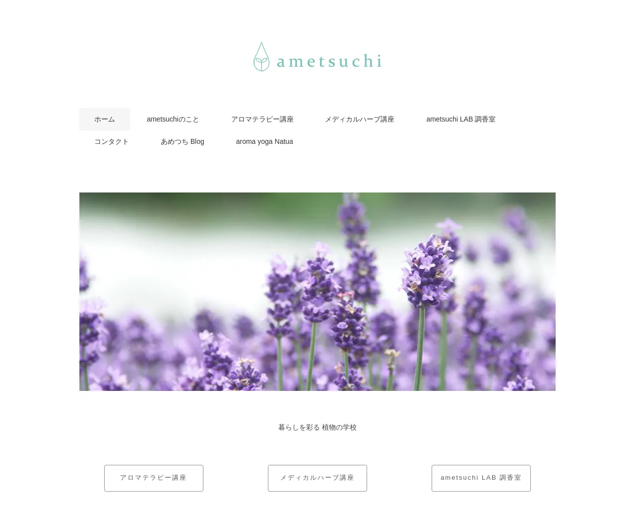 ametsuchi site