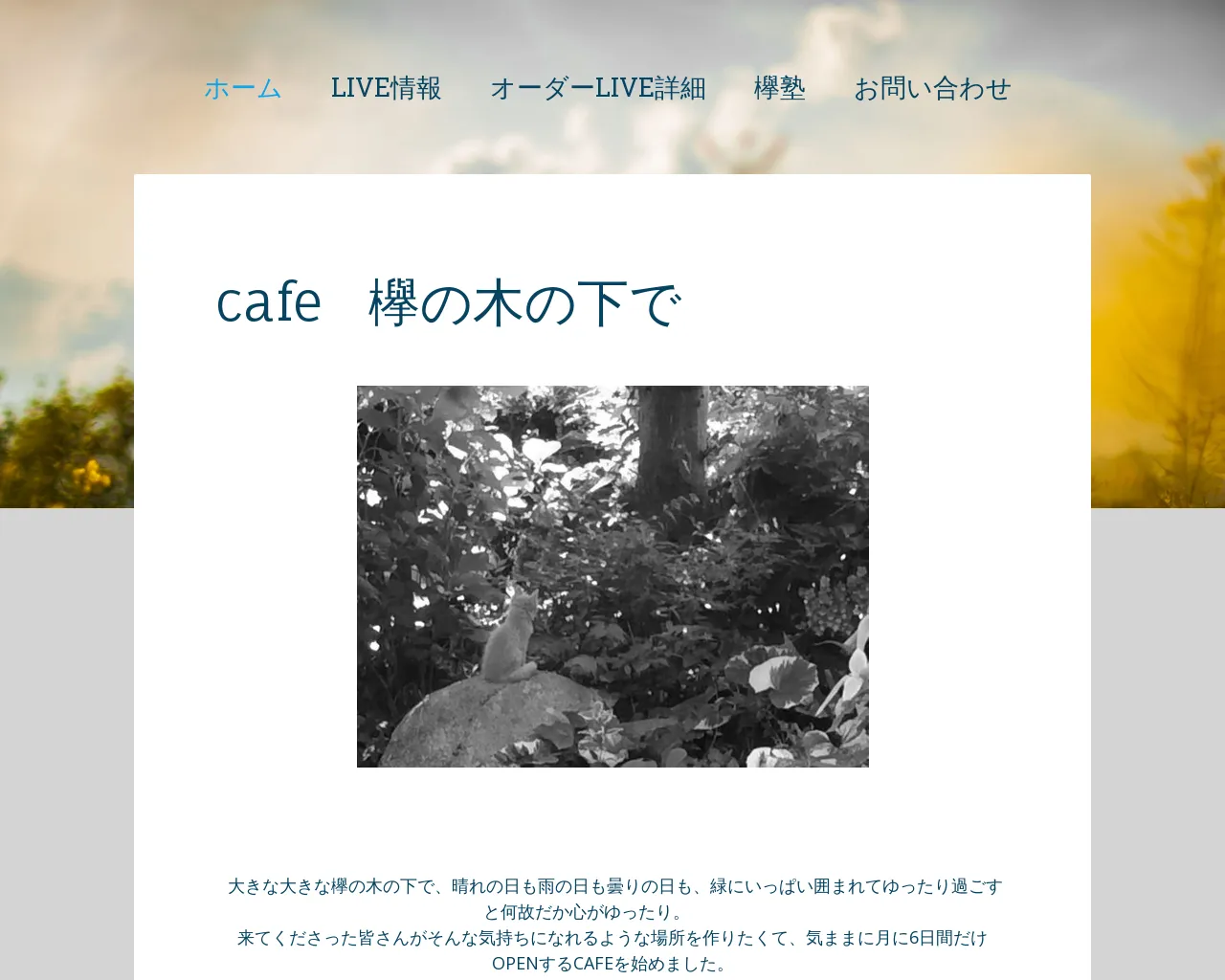 cafe 欅の木の下で site